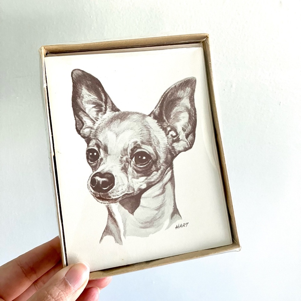 Vintage 50’s Chihuahua chi puppy dog greeting cards boxed stationery set